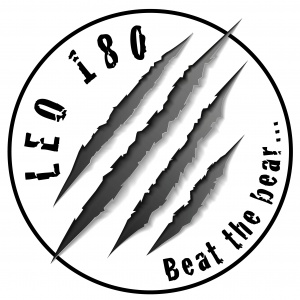 LEO180 logo