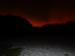 DSCN0808